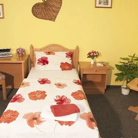 Zur Schweiz בית הארחה 3*