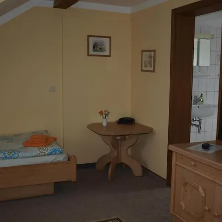 בית הארחה Zur Schweiz יינה