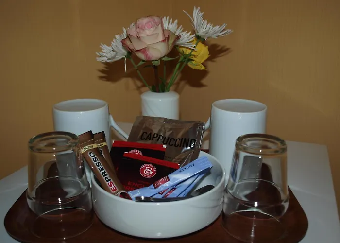 Konukevi Zur Schweiz 3*